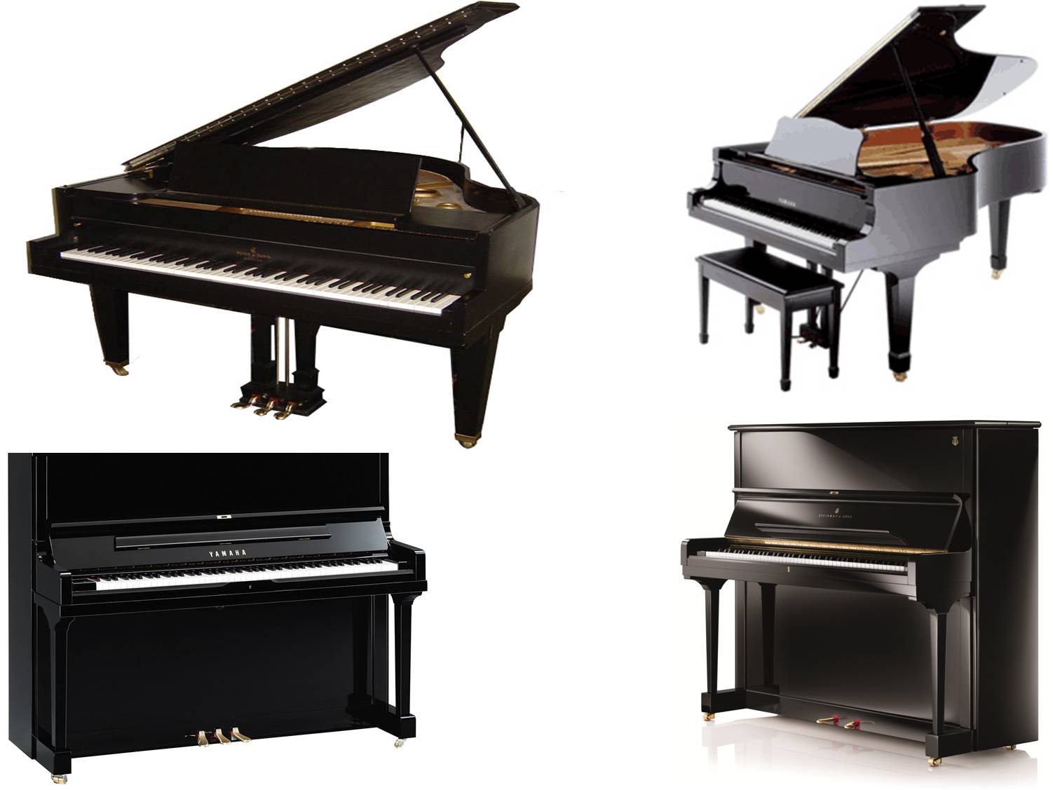 piano on rent vadodara